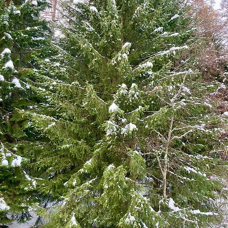 Appartamento Sulle Piste Folgarida Zewnętrze zdjęcie
