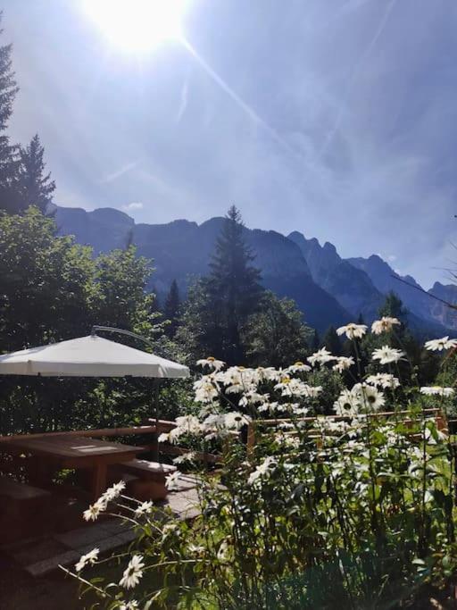 Appartamento Sulle Piste Folgarida Zewnętrze zdjęcie