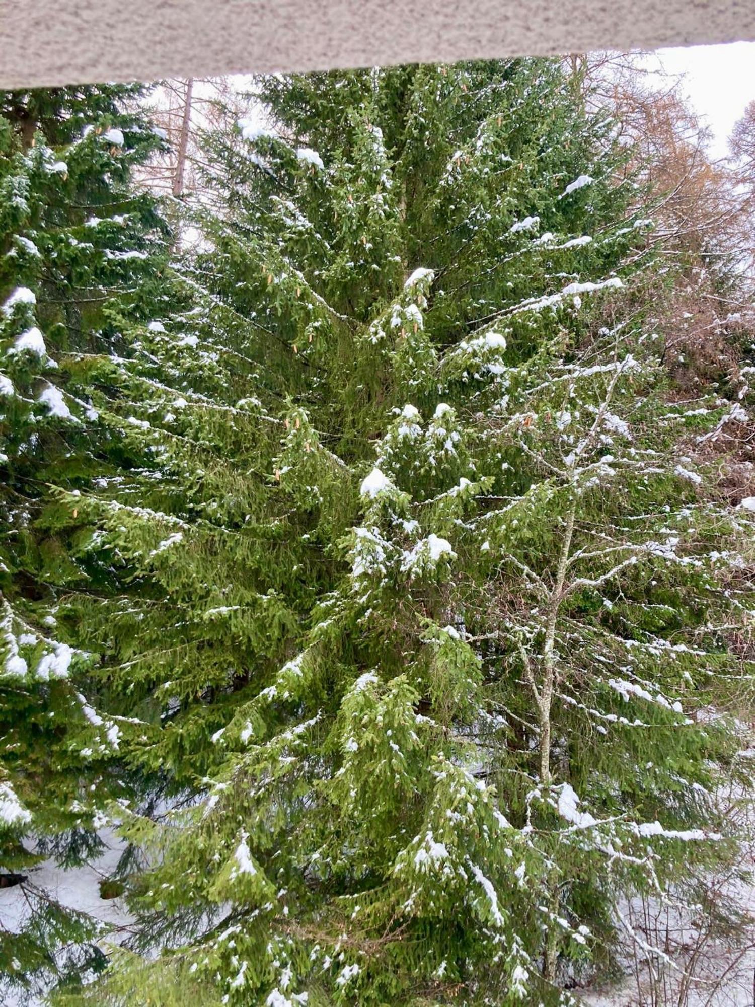 Appartamento Sulle Piste Folgarida Zewnętrze zdjęcie